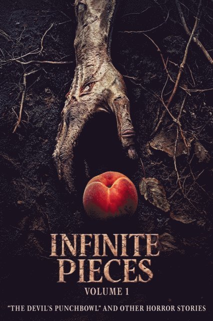 Percival Constantine, B.K. Burns, Kathryn Cottam, Ebony Graves, Jason Krumbine, Kim M. Watt, Sawyer Black, David W. Wright, Sean Platt - Infinite Pieces Volume 1: &quote;The Devil's Punchbowl&quote; and Other Horror Stories, E-bok