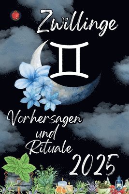 Alina Rubi - Zwillinge Vorhersagen und Rituale 2025, Häftad. Tillgänglighet: Lägg i varukorg