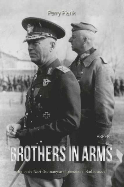 Perry Pierik - Brothers in Arms, E-bok