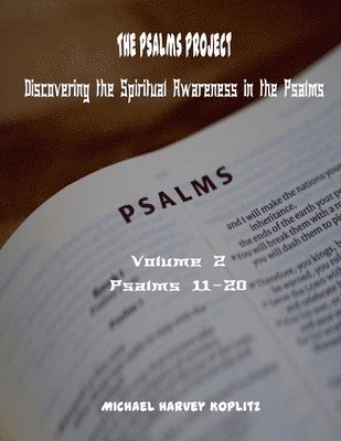 Michael Harvey Koplitz - Psalms Project Volume Two Discovering the Spiritual World through the Psalms - Psalm 11 to 20, Häftad