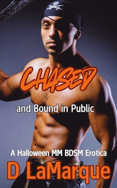 D Lamarque - Chased and Bound in Public, E-bok