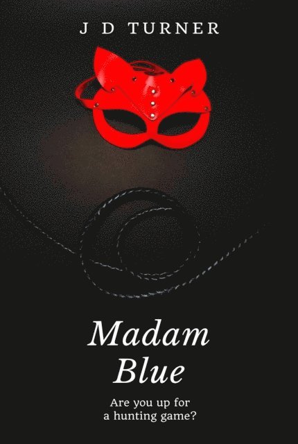 JD Turner - Madam Blue, E-bok