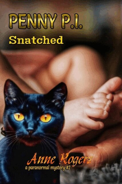Anne Rogers - Snatched, E-bok