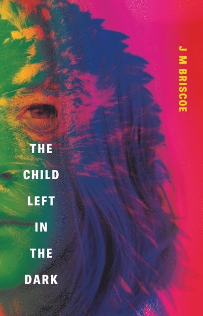 J M Briscoe - Child Left In The Dark, E-bok