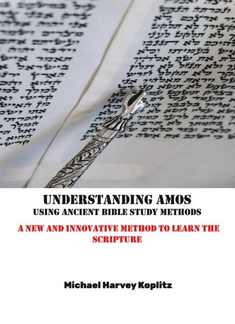 Michael Harvey Koplitz - Understanding Amos, E-bok