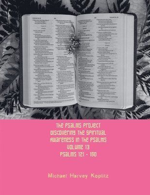 Michael Harvey Koplitz - Psalms Project Volume Thirteen - Discovering the Spiritual World through the Psalms - Psalm 121 - 150, Häftad