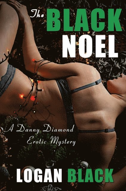 Logan Black - Black Noel (A Danny Diamond Erotic Mystery), E-bok