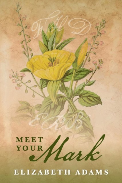 Elizabeth Adams - Meet Your Mark, E-bok