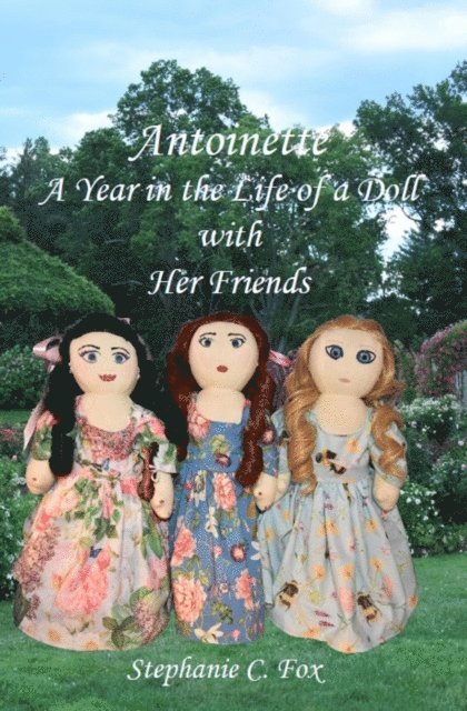 Stephanie C. Fox - Antoinette - A Year in the Life of a Doll with Her Friends, E-bok