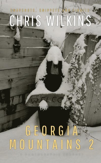 Chris Wilkins - Georgia Mountains 2, E-bok