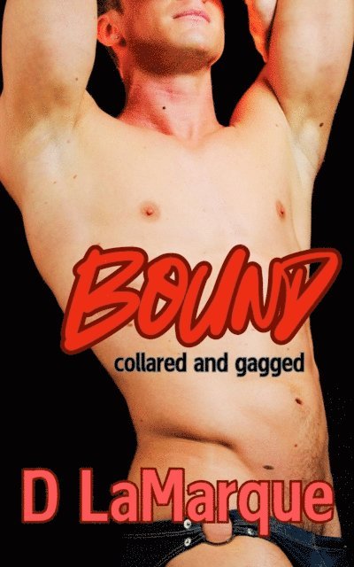 D Lamarque - Bound, Collared and Gagged, E-bok