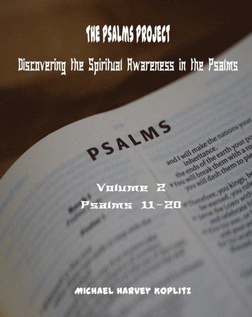 Michael Harvey Koplitz - Psalms Project Volume Two Discovering the Spiritual World through the Psalms - Psalm 11 to 20, E-bok
