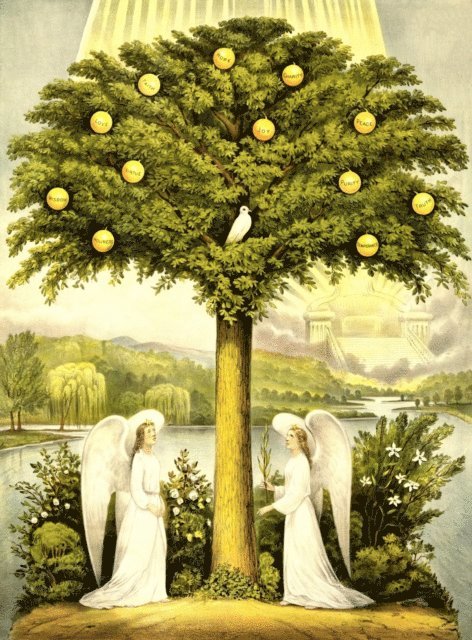 deepika sharma - Trees of Life: A Visual History of Evolution, E-bok