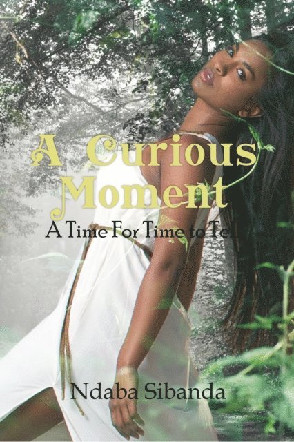 Ndaba Sibanda - Curious Moment, E-bok