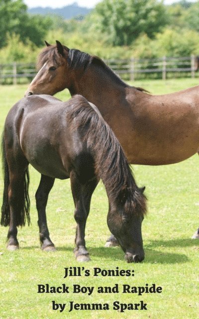 Jemma Spark - Jill's Ponies: Black Boy and Rapide, E-bok. Tillgänglighet: Lägg i varukorg
