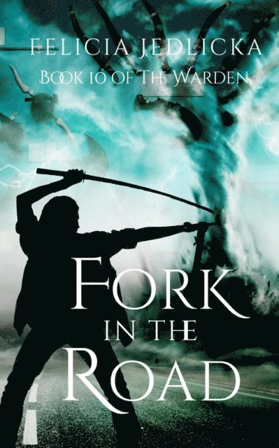 Felicia Jedlicka - Fork in the Road, E-bok