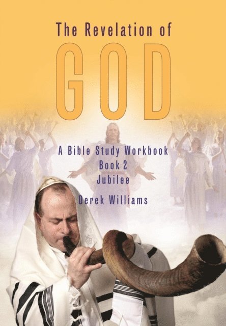 Derek Williams - Jubilee, E-bok