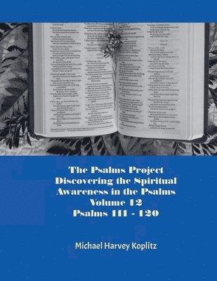 Michael Harvey Koplitz - Psalms Project Volume Twelve - Discovering the Spiritual World through the Psalms - Psalm 111 - 120, Häftad