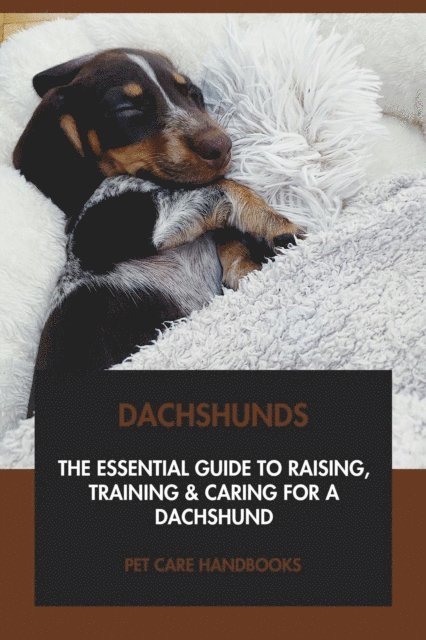 Pet Care Handbooks - Dachshunds: The Essential Guide to Raising, Training & Caring for A Dachshund, E-bok