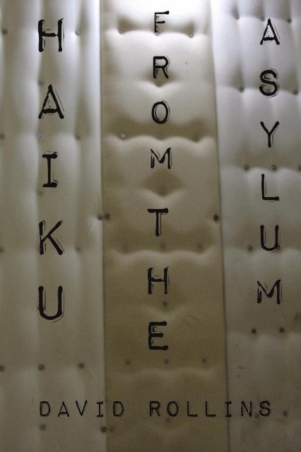 David Rollins - Haiku from the Asylum, E-bok