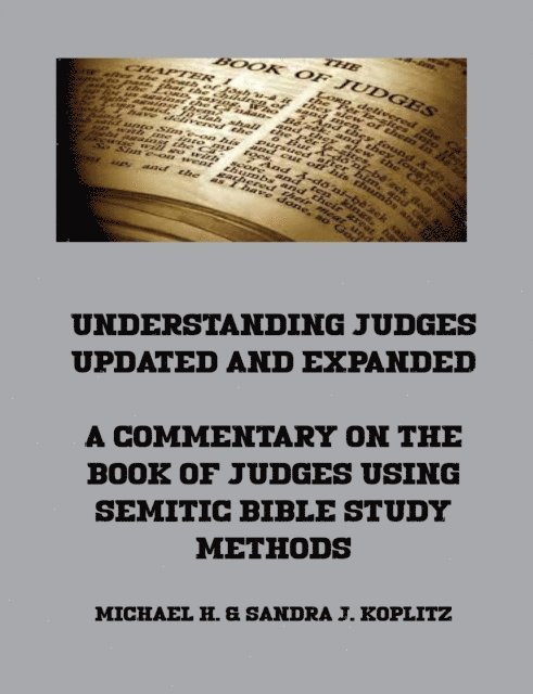Michael Koplitz - Understanding Judges Updated and Expanded, E-bok