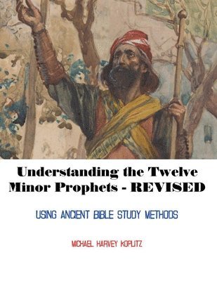 Michael Harvey Koplitz - Understanding the Twelve Minor Prophets - Revised, Häftad