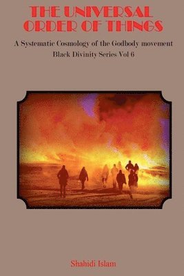 Shahidi Islam - Universal Order of Things, Häftad. Tillgänglighet: Lägg i varukorg