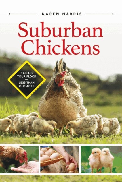 Karen Harris - Suburban Chickens: Raising Your Flock on Less Than One Acre, E-bok