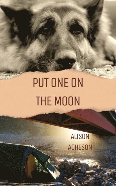 Alison Acheson - Put One On the Moon, E-bok