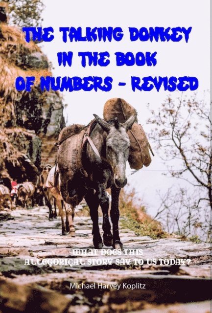Michael Koplitz - Talking Donkey in Numbers - Revised, E-bok