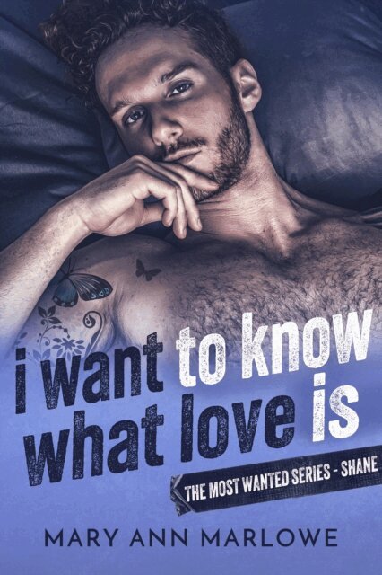 Mary Ann Marlowe - I Want To Know What Love Is, E-bok