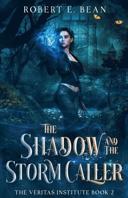 Robert Bean - Shadow and the Storm Caller, Häftad. Tillgänglighet: Lägg i varukorg