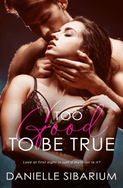 Danielle Sibarium - Too Good to be True, E-bok