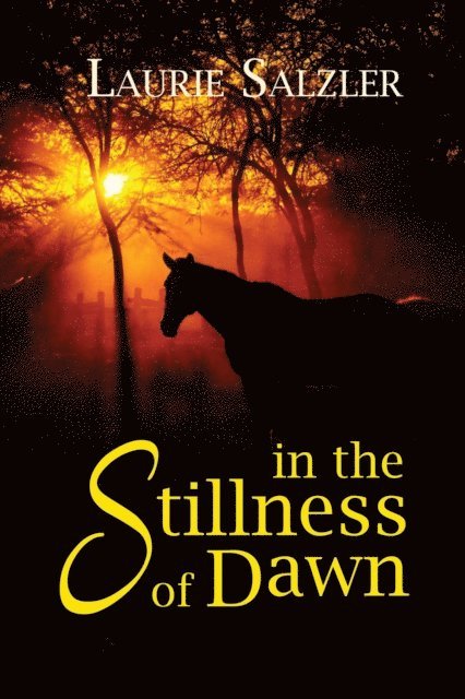 Laurie Salzler - In the Stillness of Dawn, E-bok