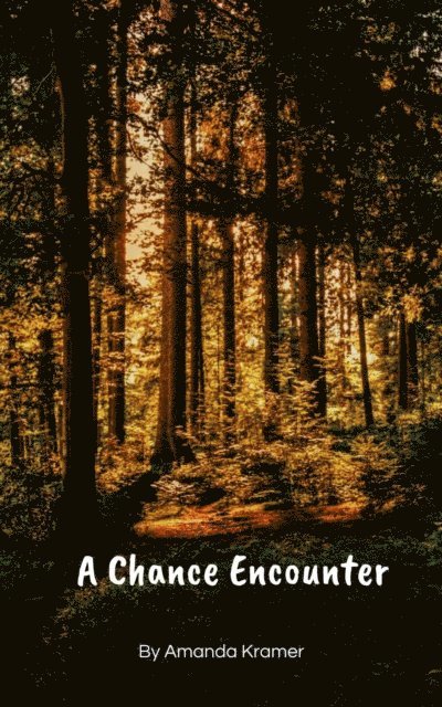 Amanda Kramer - Chance Encounter, E-bok
