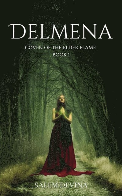 Salem Devina - Delmena, E-bok