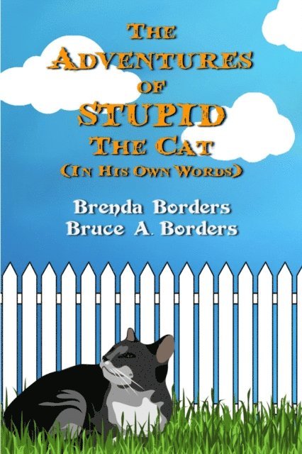Brenda Borders, Bruce A. Borders - Adventures Of Stupid The Cat, E-bok. Tillgänglighet: Lägg i varukorg