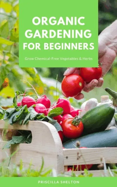Priscilla Shelton - Organic Gardening for Beginners: Grow Chemical-Free Vegetables & Herbs, E-bok. Tillgänglighet: Lägg i varukorg