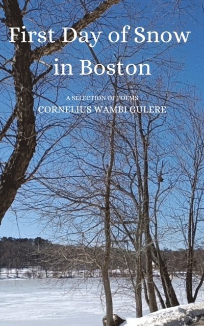 Cornelius Wambi Gulere - First Day of Snow in Boston, E-bok
