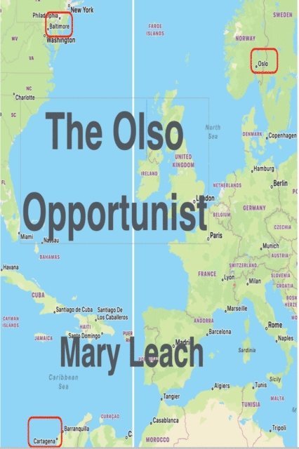 Mary Leach - Oslo Opportunist, E-bok