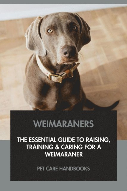Pet Care Handbooks - Weimaraners: The Essential Guide to Raising, Training & Caring for A Weimaraner, E-bok