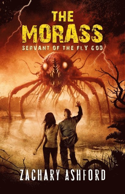 Zachary Ashford - Morass, E-bok