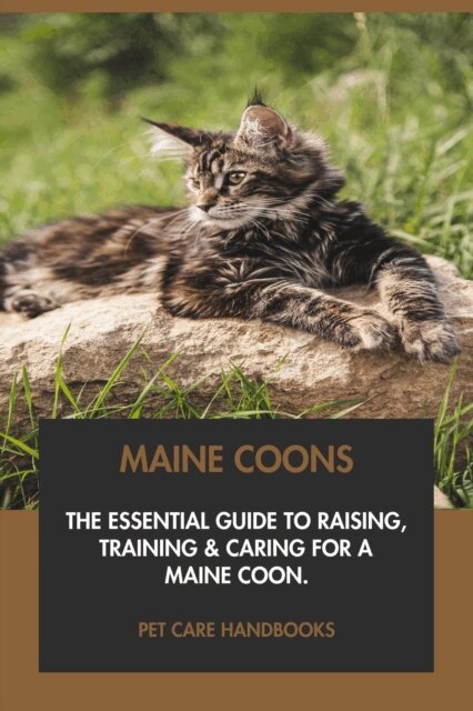 Pet Care Handbooks - Maine Coons: The Essential Guide to Raising, Training & Caring for A Maine Coon., E-bok