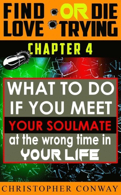 Christopher Conway - What to Do if You Meet Your Soulmate at the Wrong Time In Your Life, E-bok