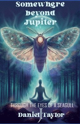 Daniel J Taylor - Somewhere Beyond Jupiter - Through the Eyes of a Seagull, Häftad