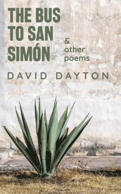 David Dayton - Bus to San Simon, E-bok
