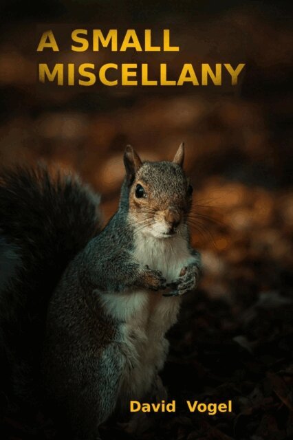 David Vogel - Small Miscellany, E-bok