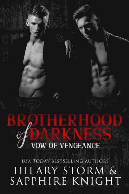 Hilary Storm, Sapphire Knight - Vow of Vengeance, E-bok