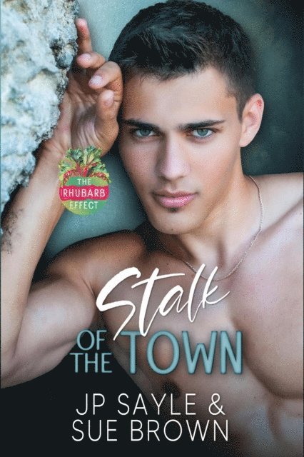 JP Sayle, Sue Brown - Stalk of the Town, E-bok