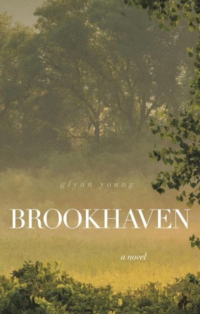 Glynn Young - Brookhaven: a novel, E-bok